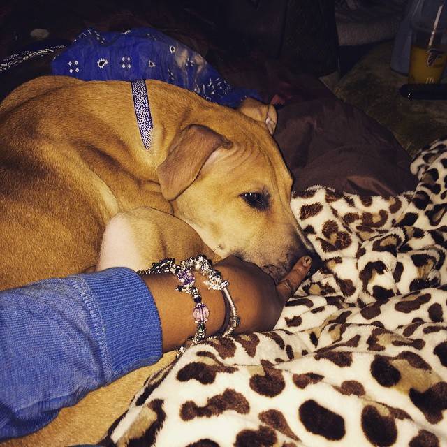 Bobbi Kristina Brown na Instagramie