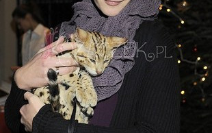 Celebryci pomagają zwierzętom (FOTO)