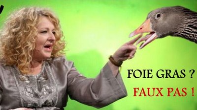 Magda Gessler na celowniku Fundacji Viva!