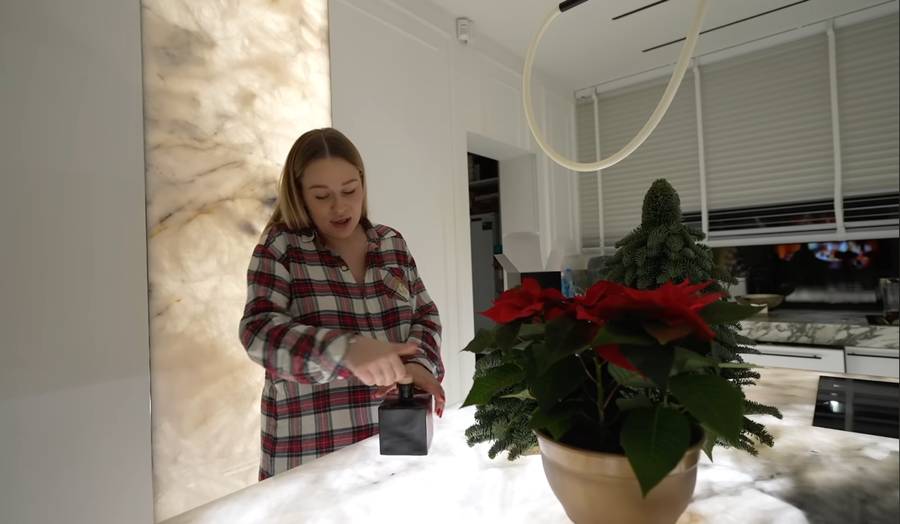 Andziaks dekoruje kuchnię na święta, fot. YouTube