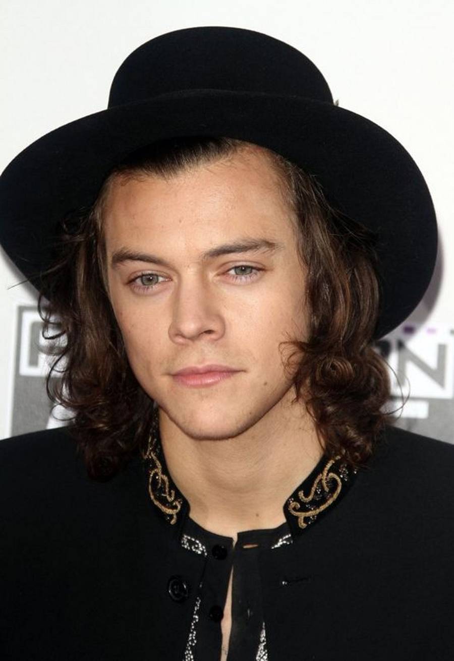 Harry Style
