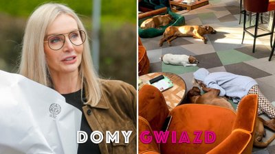 Agnieszka Woźniak-Starak luksusowo się urządziła. Klasyka przeplata się z kolorami! ZDJĘCIA