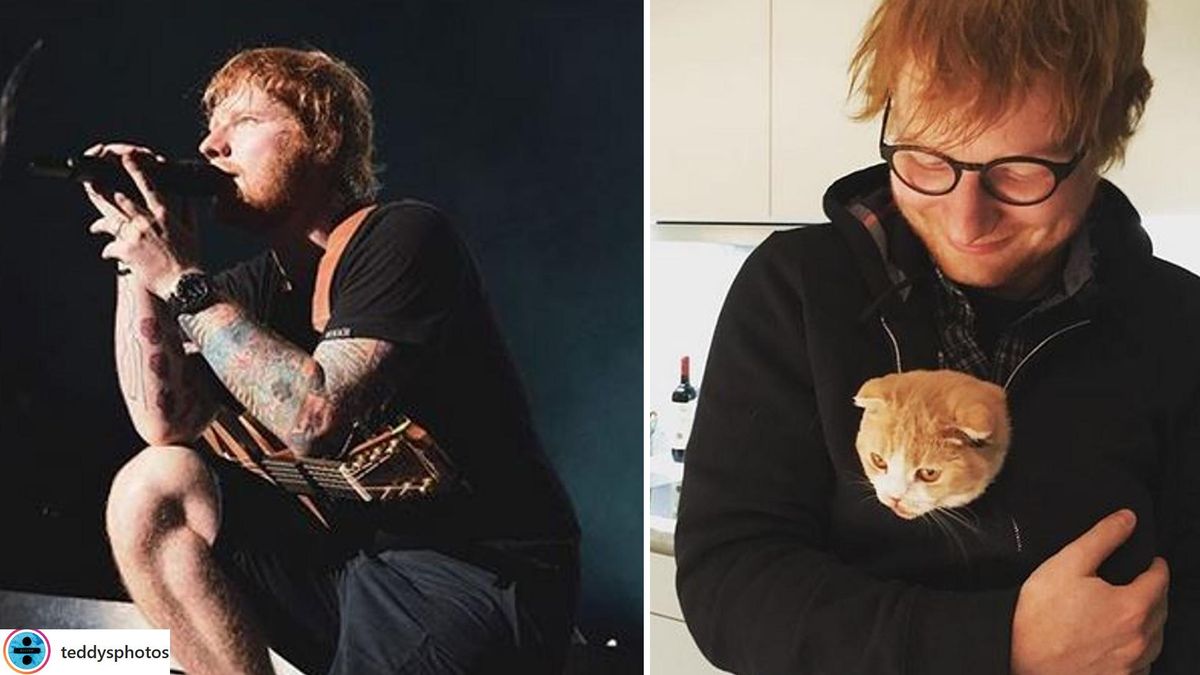 edg-wecompresscom-R1