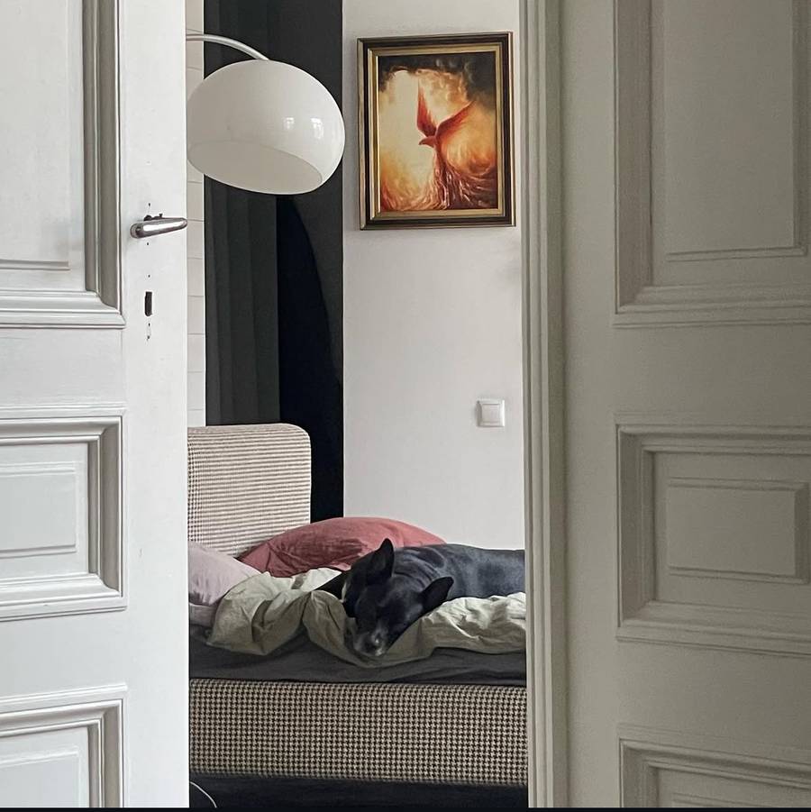 Tak wygląda dom Michała Szpaka. Ekscentryczne wnętrza w uroczej kamienicy