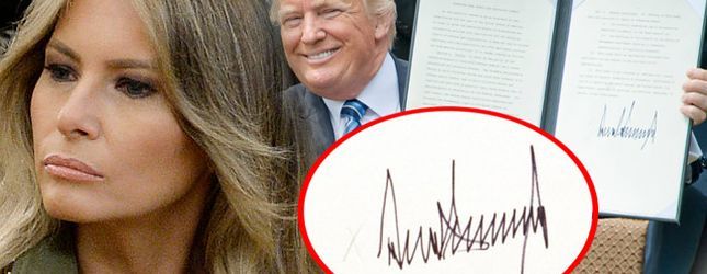 melania-donald-popdisy-g-r1ggg-R1
