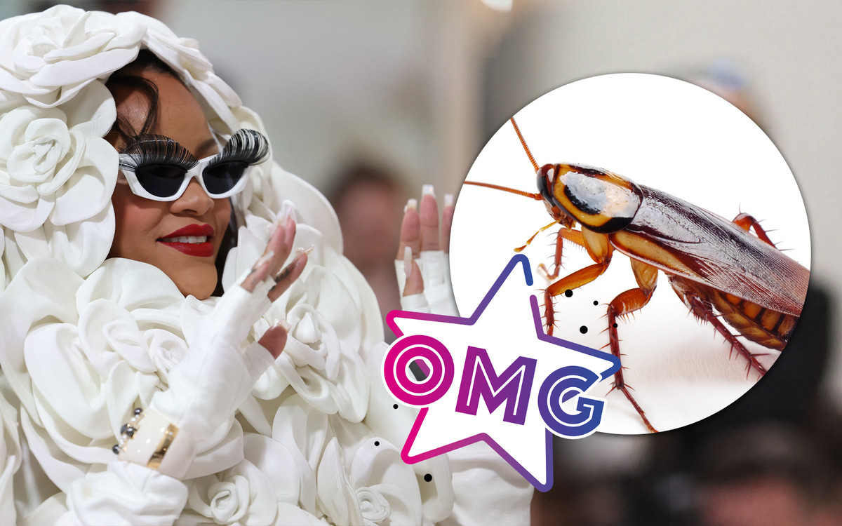 Met Gala 2023: Karaluch SKRADŁ SHOW Rihannie!