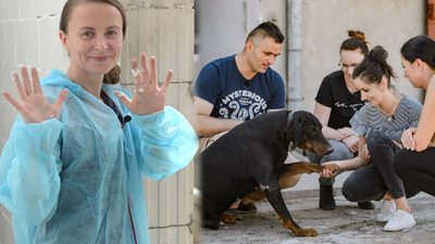 Kandydatki “Rolnik szuka żony 6” zasmakowały prawdziwego, wiejskiego życia. Kogo odstraszył klimat i zapachy na wsi?