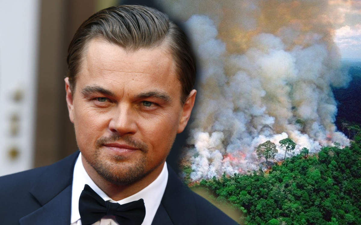 Leonardo DiCaprio ratuje lasy Amazonii. Wydał oświadczenie