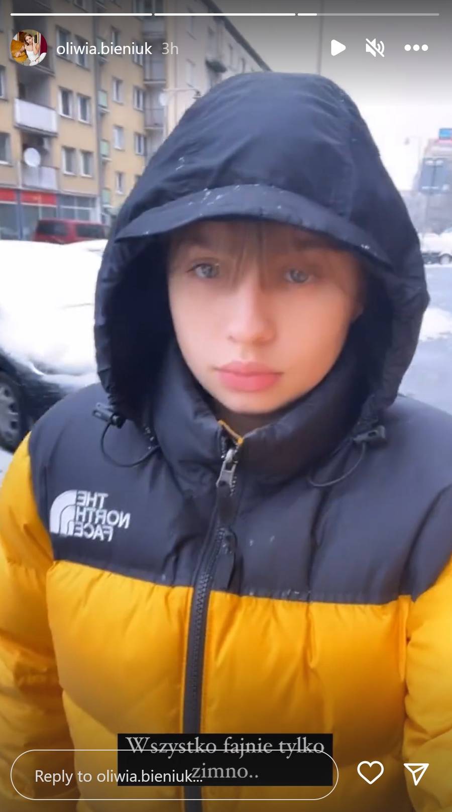 Pierwszy śnieg zawitał u Gwiazd! Halejcio, Pisarek, Lipińska i reszta chwalą się zimowymi fotkami (ZDJĘCIA)