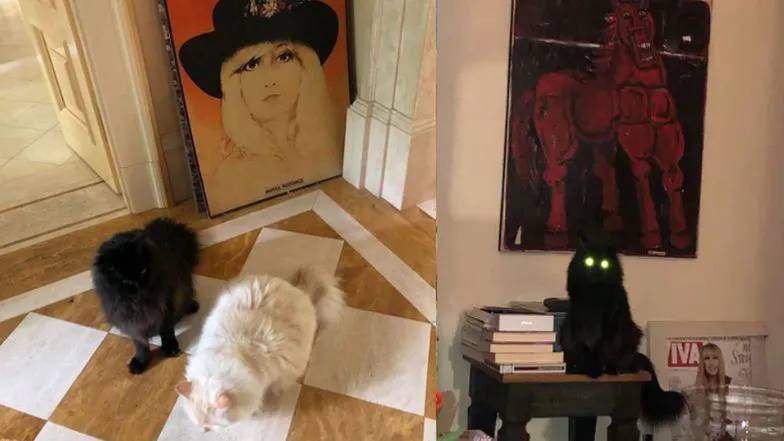 Tak mieszka Maryla Rodowicz. Marmury, złote krany, ale... Coś tam jest nie tak