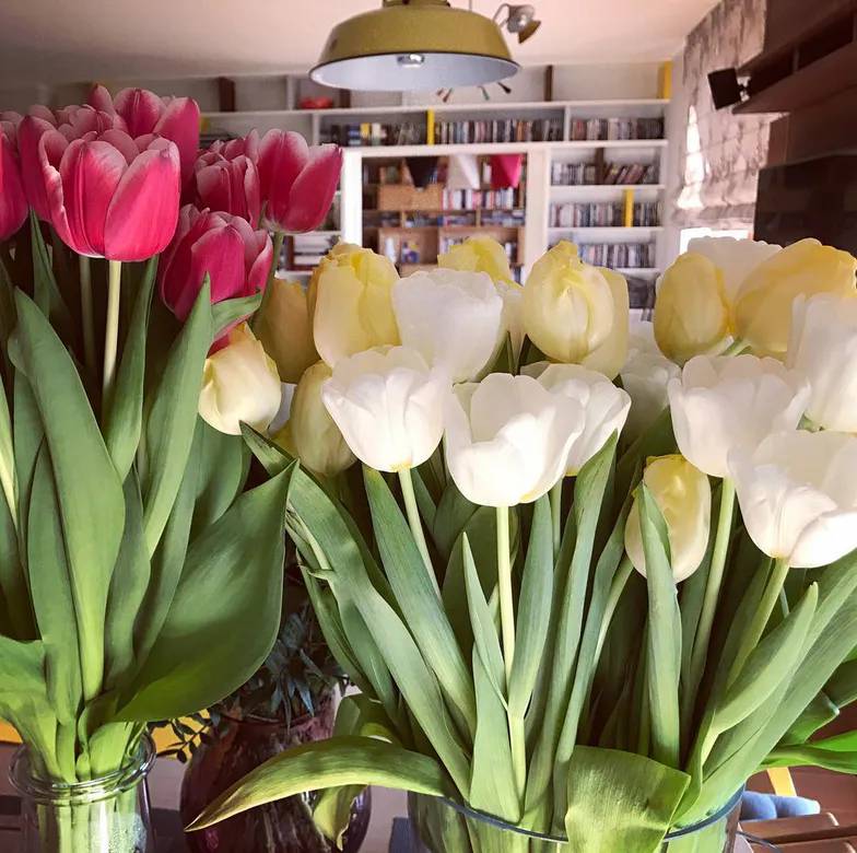 Badach, Kwaśniewska dom fot.Instagram/aleksandraleksandrowna