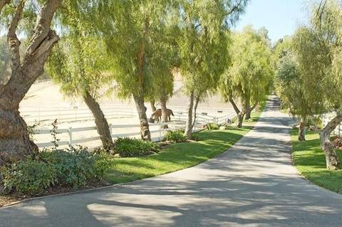 Miley Cyrus została ranczerką