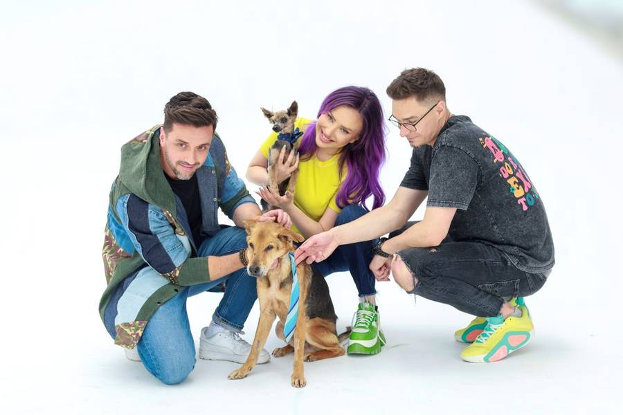 Gwiazdy w uroczej sesji do kalendarza “Psierociniec”. Margaret, Magda Steczkowska, Rafał Szatan…(FOTO)