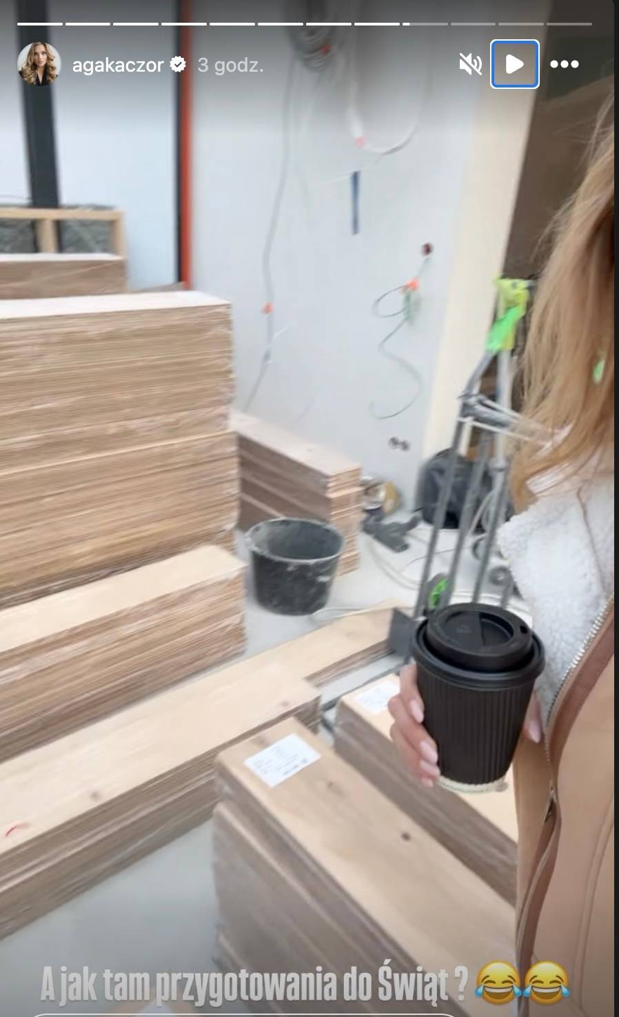 Kaczorowska i Rogacewicz remontują swój dom. Chcą zdążyć do świąt (ZDJĘCIA)