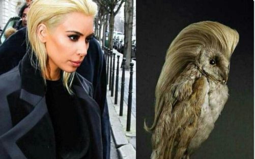 Memy z jasnymi włosami Kim Kardashian