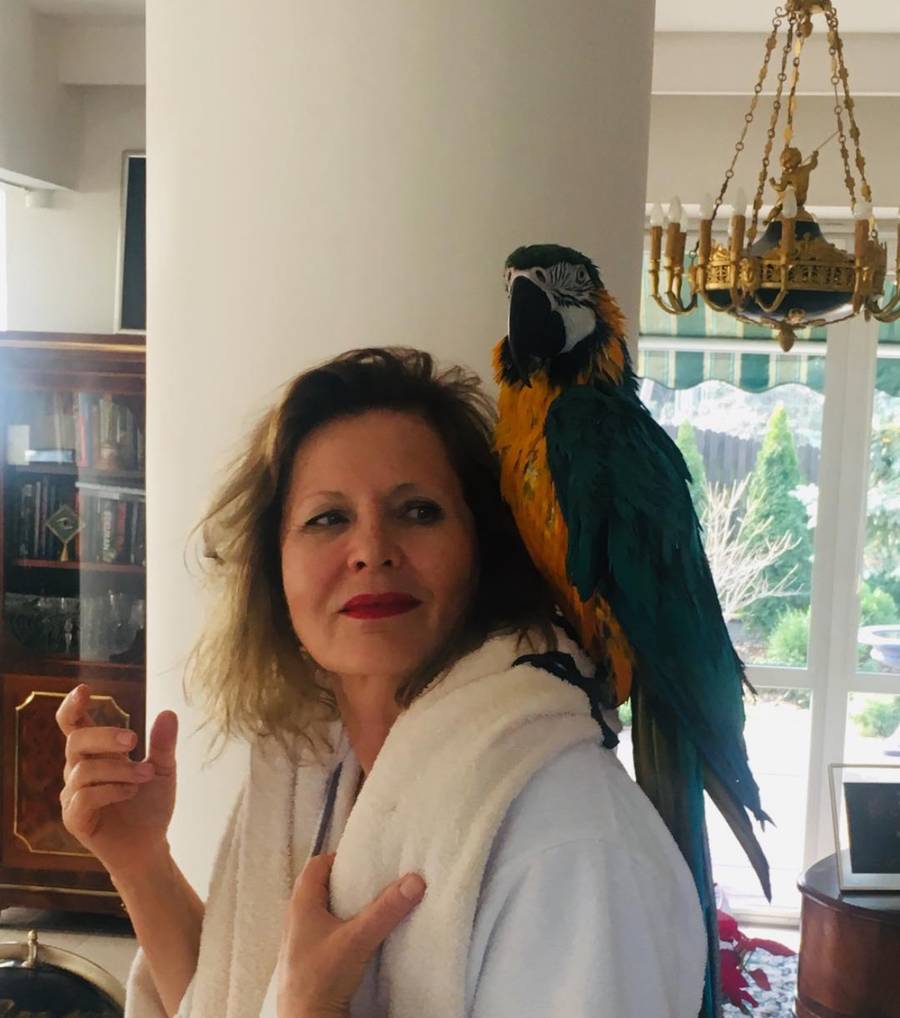 Jak mieszka Grażyna Szapołowska? Czuć elegancję i sztukę, fot. Instagram