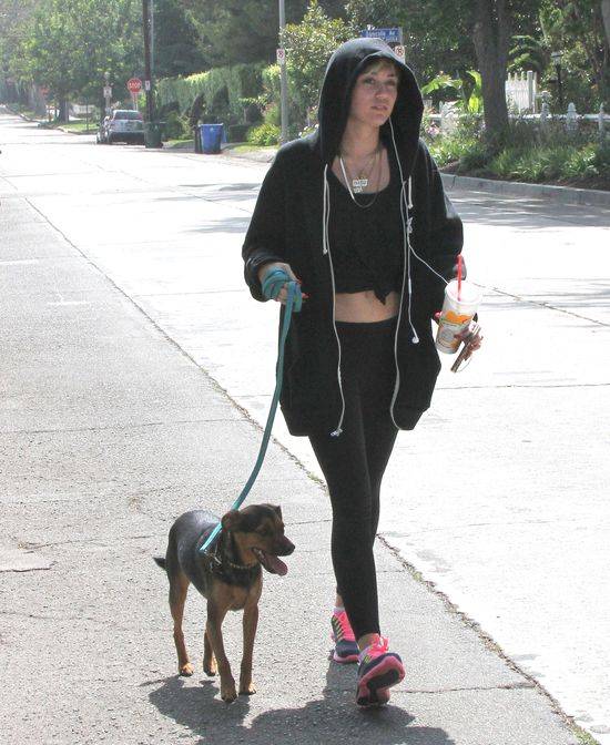 Miley Cyrus z psem na spacerze