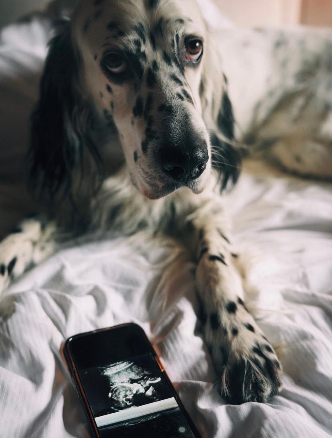 Jessica Ziółek będzie mamą! Była narzeczona Milika ogłosiła ciążę w wyjątkowy sposób/ Instagram