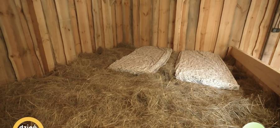 Dorota Gardias pokazała swój dom! Miejski pęd zamieniła w ciszę na wsi