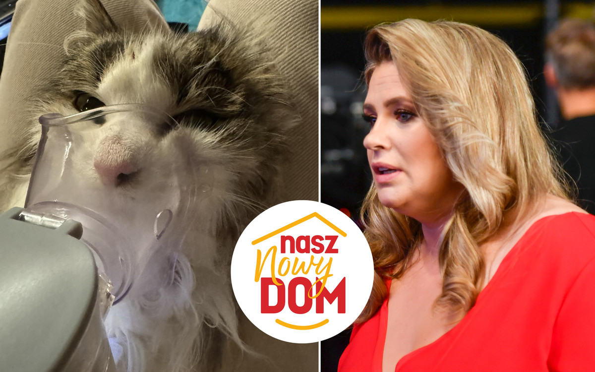 “Nasz nowy dom”: Widzowie wściekli na produkcję! “Wyszła na jaw obłuda, z jaką działacie”