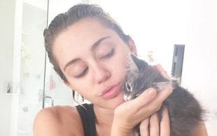 Miley Cyrus zmieniła fryzurę (FOTO)