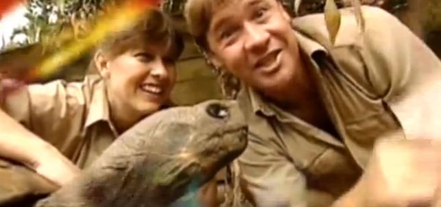 steve-irwin-R1