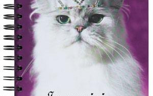 Być Miss… chociaż 3 minuty