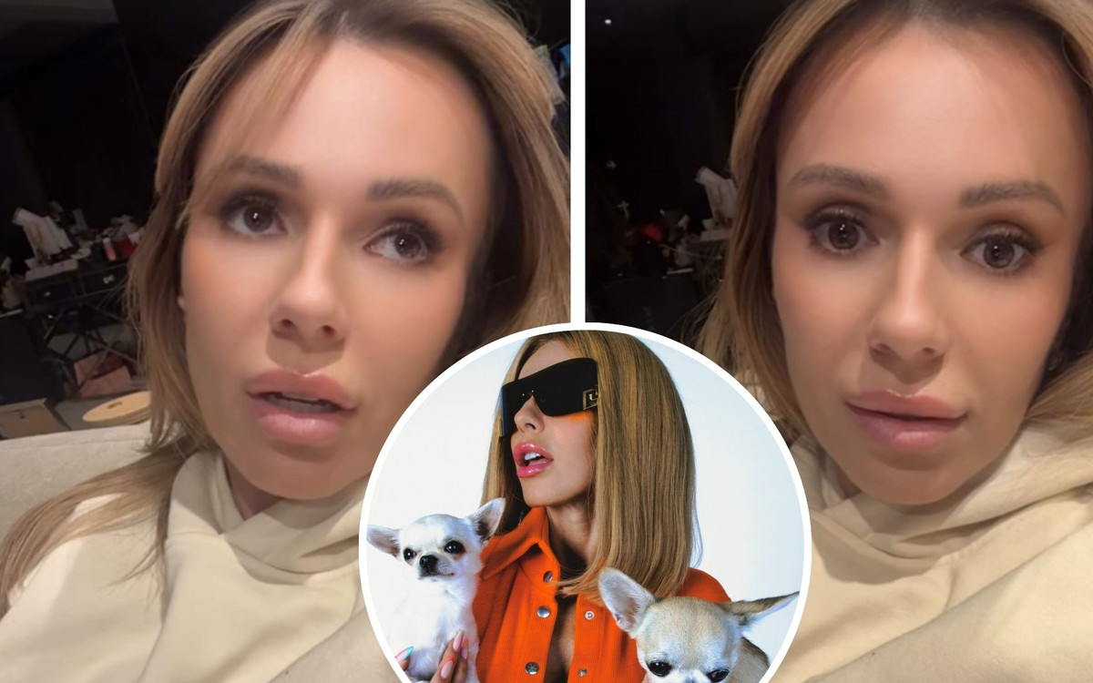 Doda ociepla sobie wizerunek kosztem psiaków? Dosadnie odpowiedziała