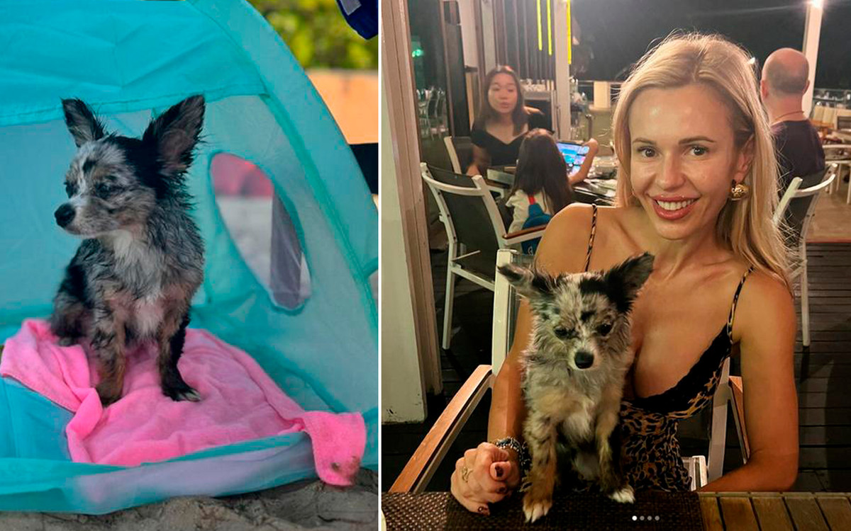 Dramat w domu Dody! Jej piesek ciężko zachorował, zaapelowała do fanów