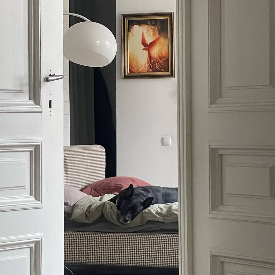 Tak mieszka Michał Szpak