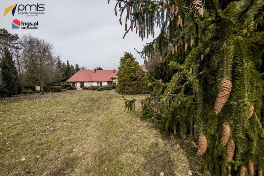 Beata Kozidrak sprzedaje dom! Zobacz, w jakich mieszkała LUKSUSACH