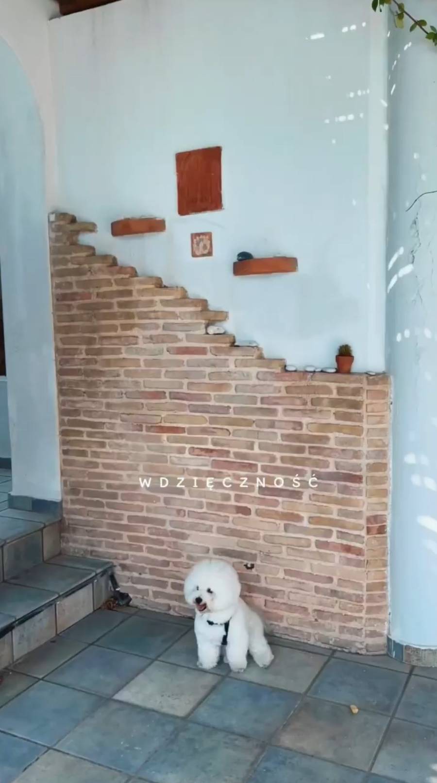 Grecki apartament Ewy Chodakowskiej to synonim egzotycznego luksusu. Widoki zapierają dech! (FOTO)