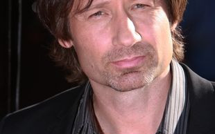 Davidowi Duchovnemu bez seksu usechł…