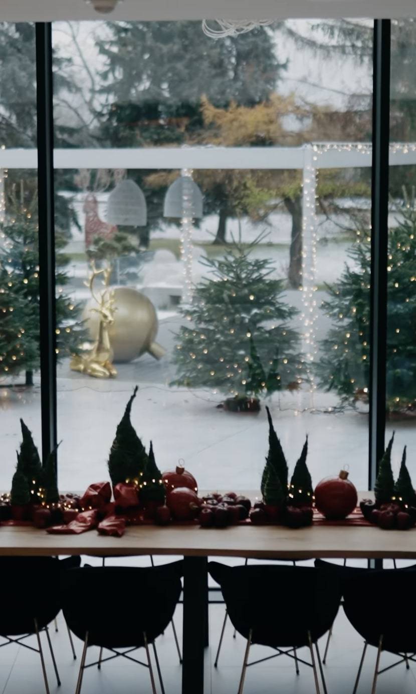 Klaudia Halejcio zmieniła swoją willę w wioskę ŚWIĘTEGO MIKOŁAJA! Drzewa oplecione lampkami, dziesiątki choinek i setki ozdób (FOTO)