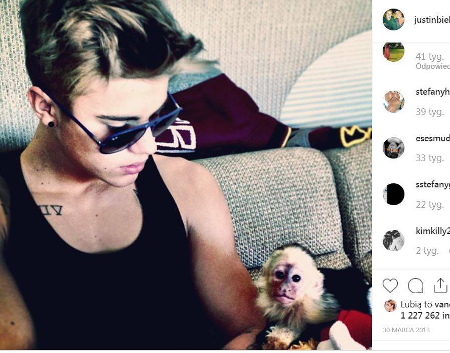 Gwiazdy, które miały NIETYPOWE zwierzęta. Mogło się to skończyć TRAGEDIĄ