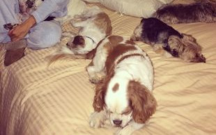 Joanna Krupa szykuje się do zamrożenia komórek jajowych?