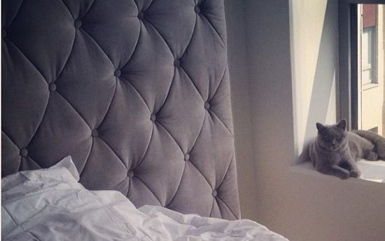 Anna Wendzikowska na instagramie