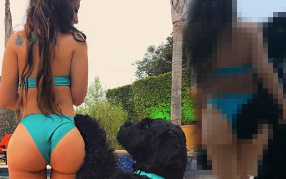 Dayana Mounira oskarżona o molestowanie psa!