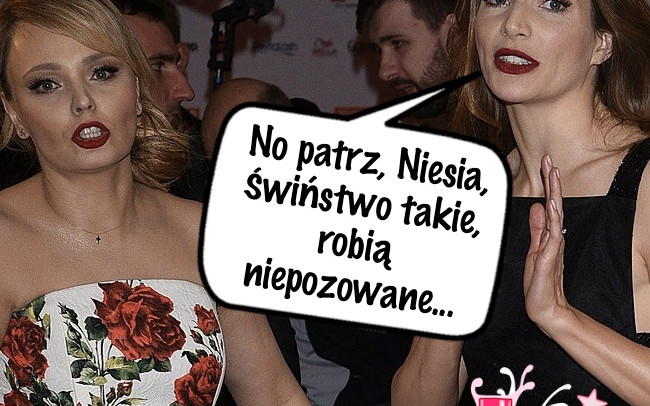 Telekamery 2016 w memach