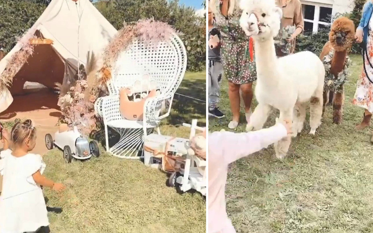 Natalia Siwiec postarała się. Na URODZINACH jej córki były nawet ALPAKI