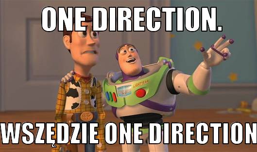 One Direction – memy