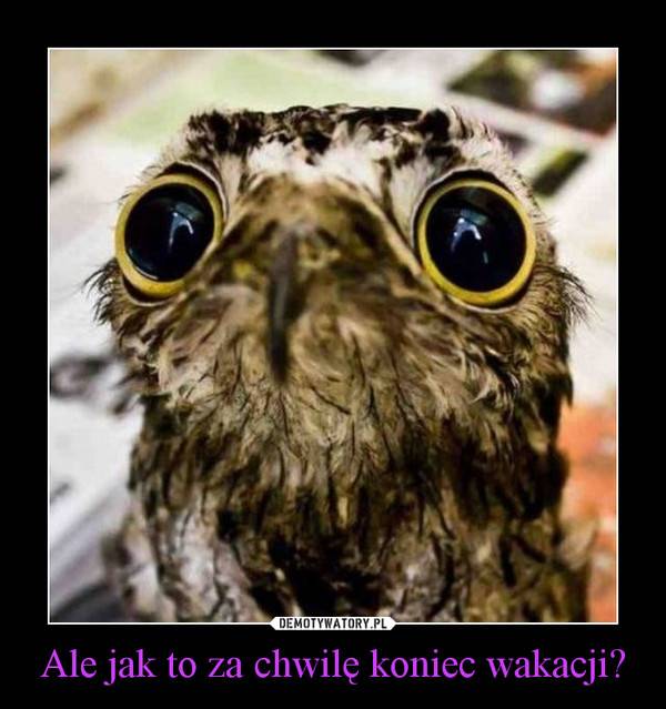 Koniec wakacji…