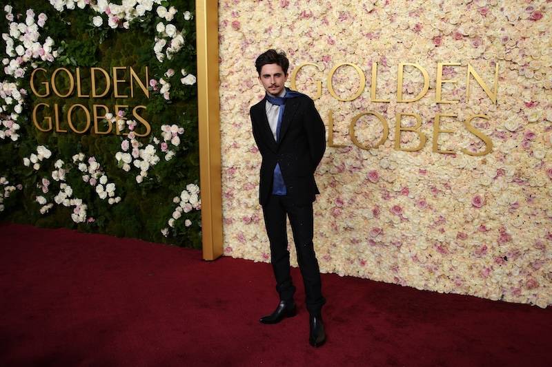 Timothée Chalamet, fot. Forum.