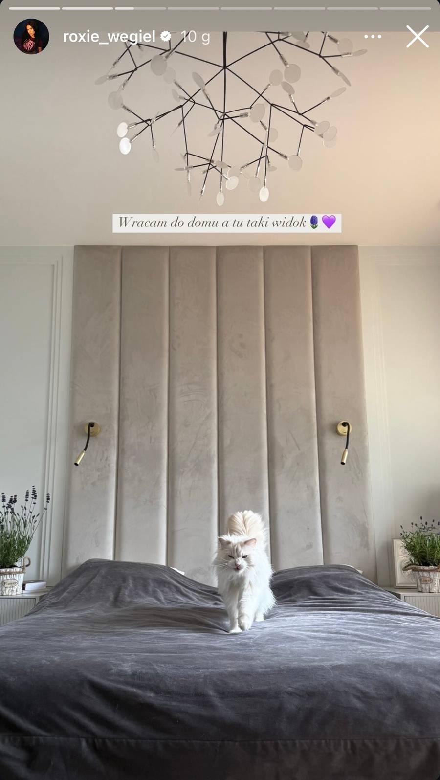 Roksana Węgiel, fot. Instagram.