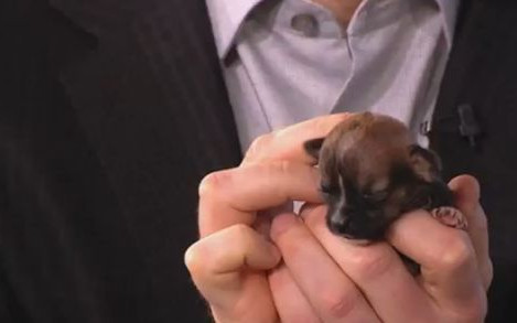 Beyonce skomle i pije mleko z butelki (VIDEO)