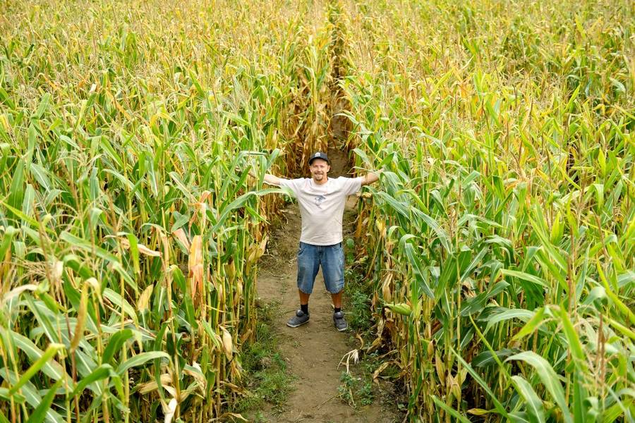 Bartosz Obuchowicz pokazał swój kukurydziany biznes! “Miejscowi patrzyli na nas jak na wariatów”