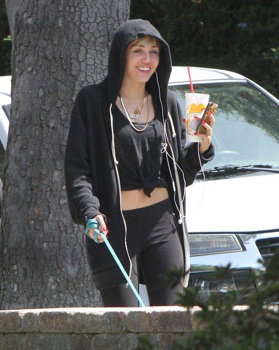 Miley Cyrus z psem na spacerze