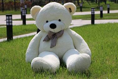 Zamówili wielkiego misia na Amazonie, a kiedy rozpakowali przesyłkę… (ZDJĘCIA)