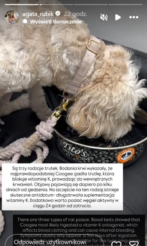 Agata Rubik, fot. Instagram.