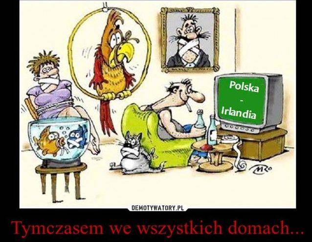Memy po meczu Polska-Irlandia
